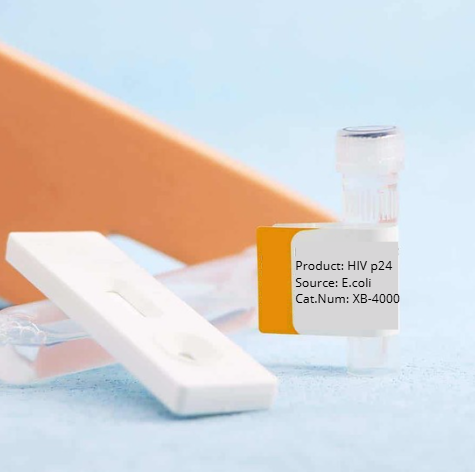 Rapid-Lenti HIV-1 p24 ELISA Kit (Single Wash)