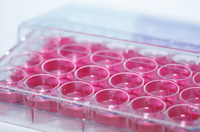 Equine Insulin Fast ELISA